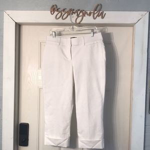 Lane Bryant The Modernist Lena Crops 🇺🇸